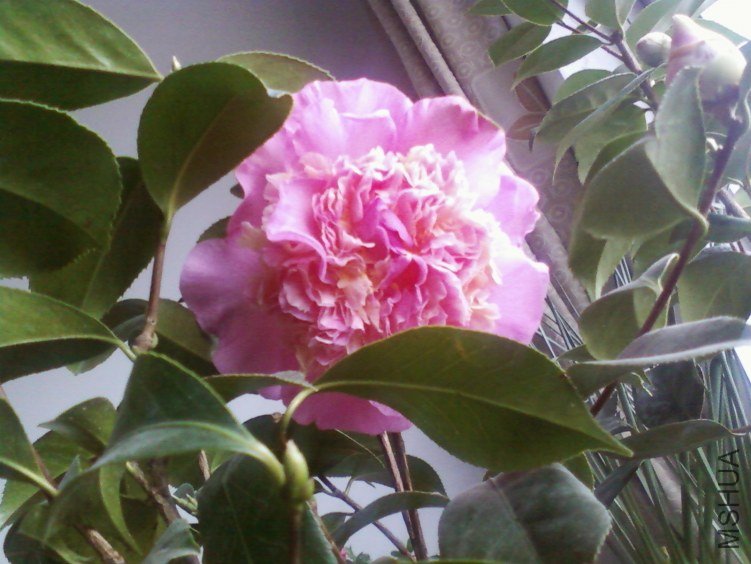 ��Ƭ-0084.jpg