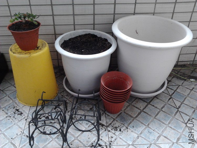 2012-03-04 13.29.02.jpg