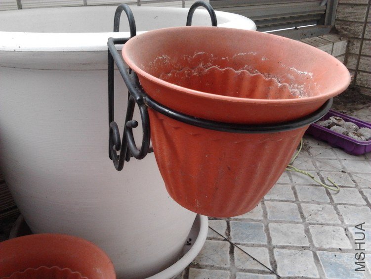 2012-03-04 13.29.32.jpg