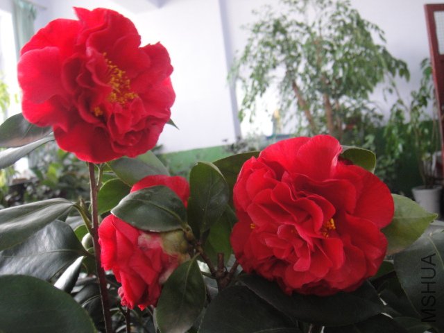 DSC01886.JPG