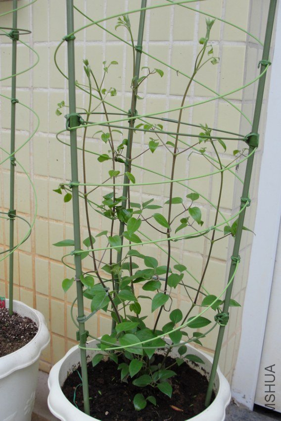 ��ת DSC01836-1.jpg