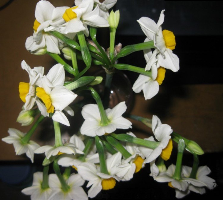 QQ��ͼ20120305234558.jpg