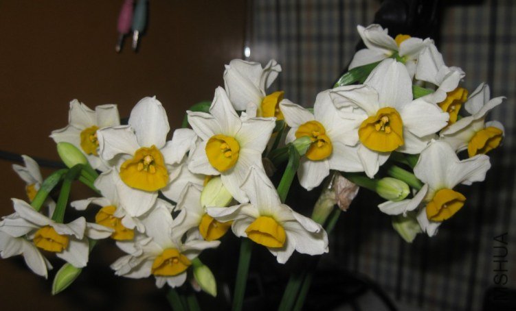 QQ��ͼ20120305234503.jpg