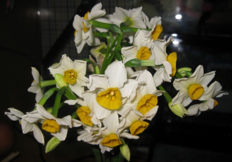 QQ��ͼ20120305234535.jpg