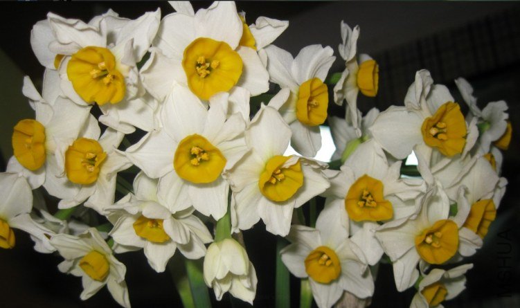 QQ��ͼ20120305234635.jpg