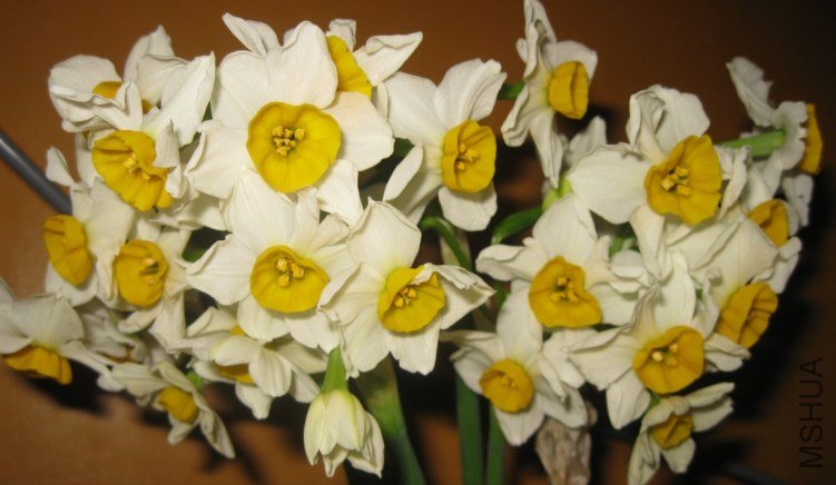 QQ��ͼ20120305234616.jpg