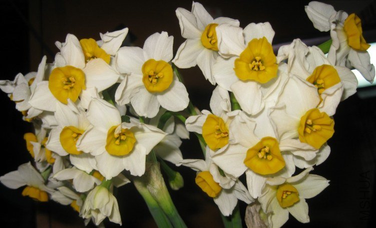 QQ��ͼ20120305234650.jpg