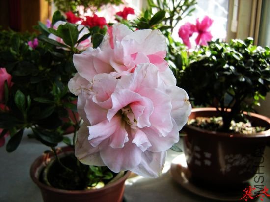DSCN1506.jpg