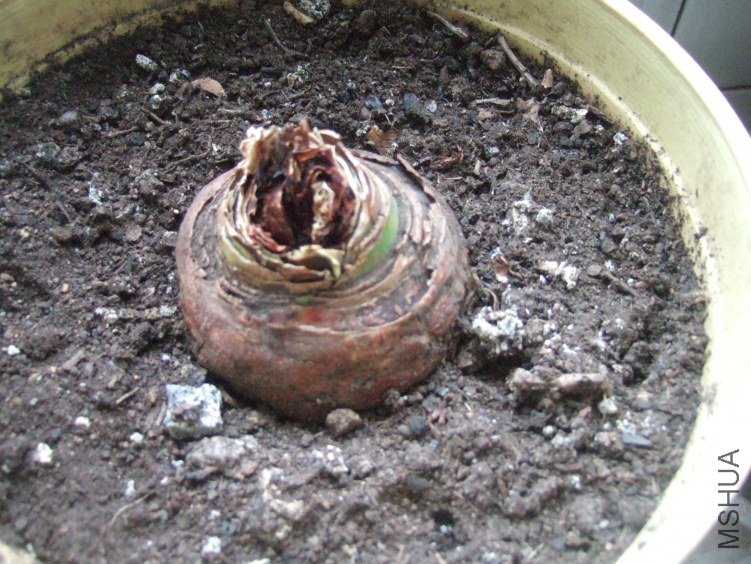 �ҵ��ǲ�Ҳ���ˣ�����ֿ���