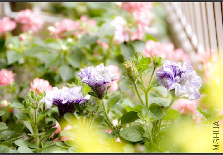 �Ĳ���������