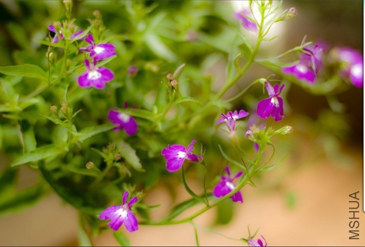 ������ȥ��С��