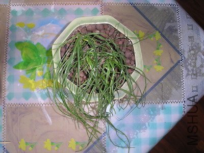 ��Ƭ3 013_��С��С.jpg