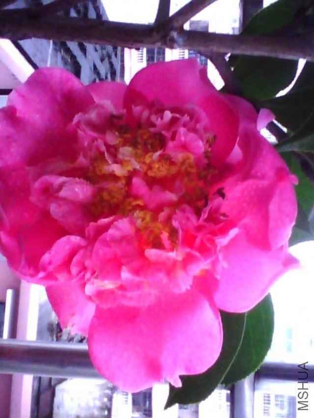 image20120306_125939.jpg