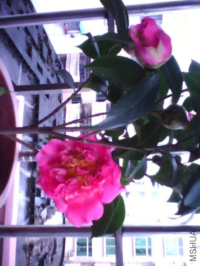 image20120306_130029.jpg