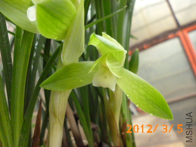 P1000590.JPG