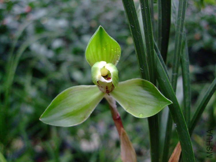 ��Ƭ2012-3-7f 02611.jpg