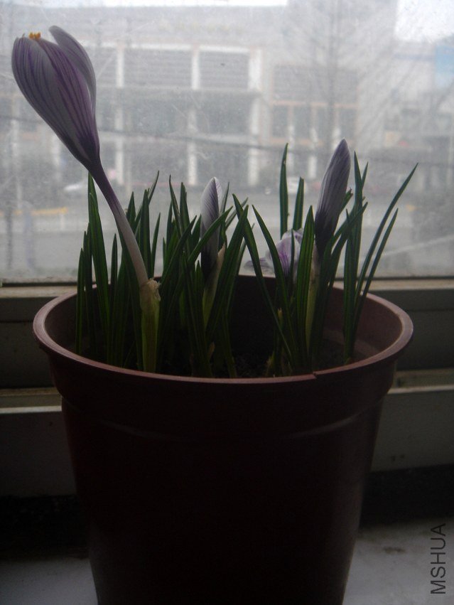 DSC03555.JPG