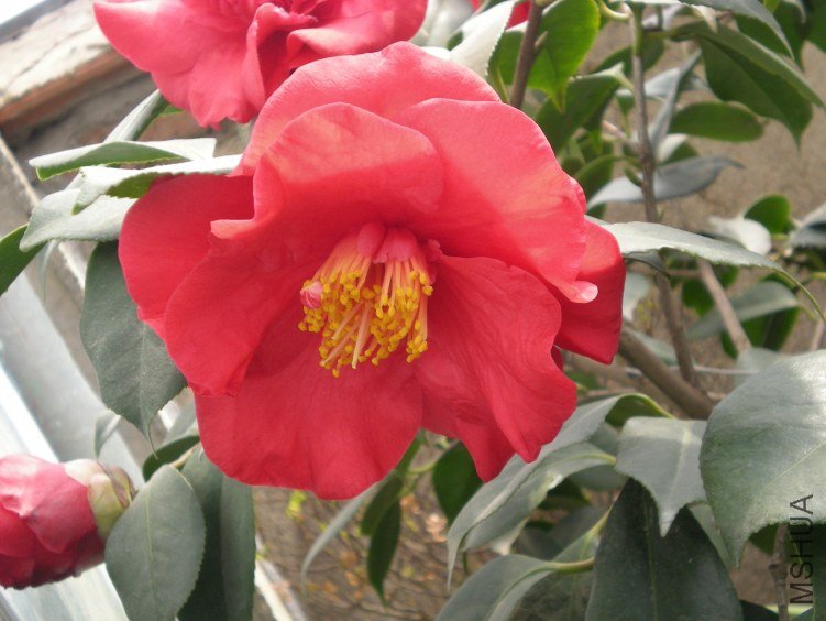 12-14���׵Ļ���