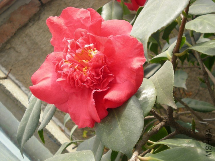 12-14���׵Ļ���