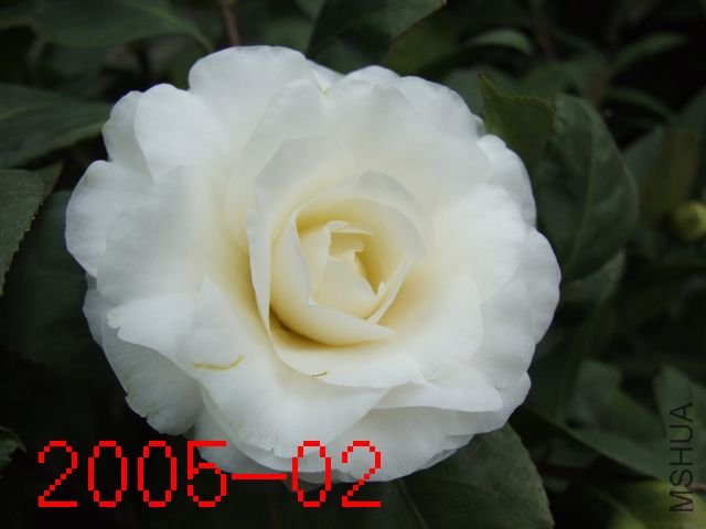 DSCF3316.JPG