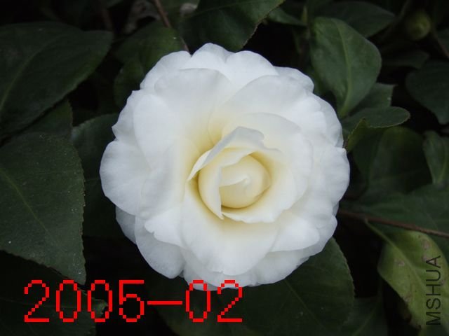 DSCF3280.JPG