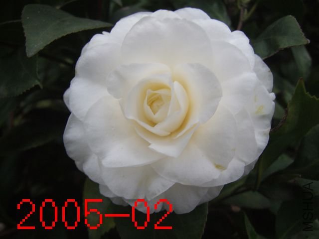 DSCF3442.JPG