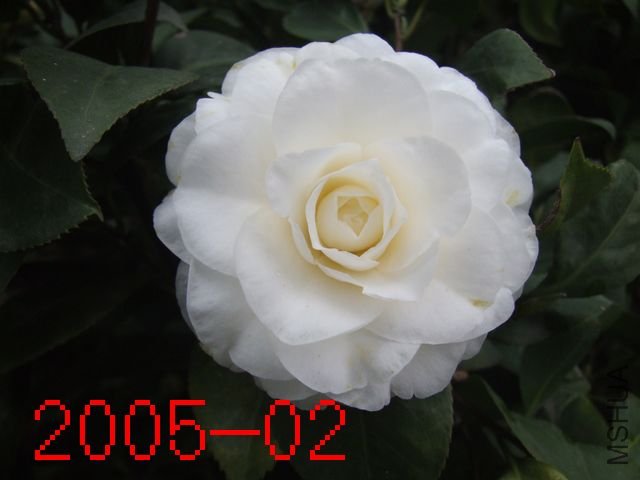 DSCF3439.JPG
