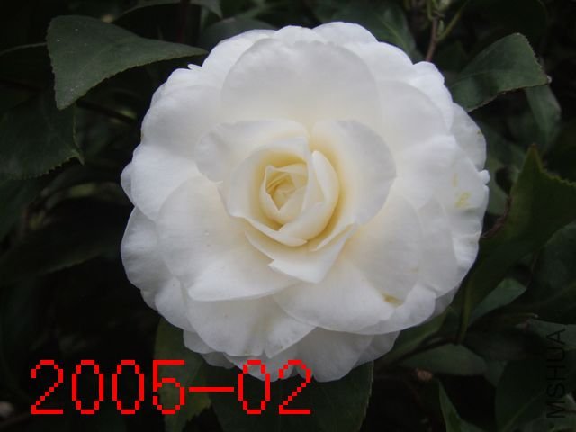 DSCF3441.JPG