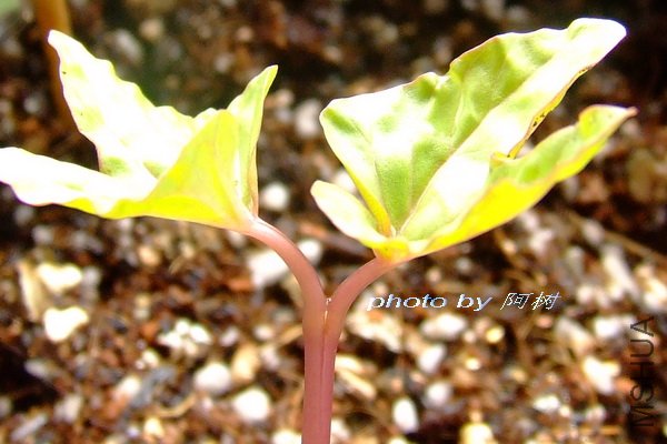 ����֮�� 6.jpg