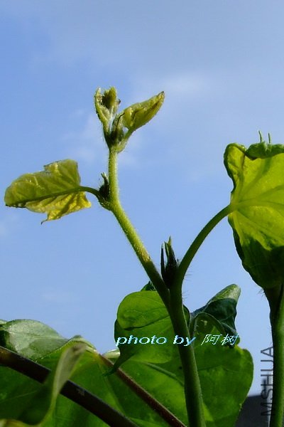 ����֮�� 5.jpg