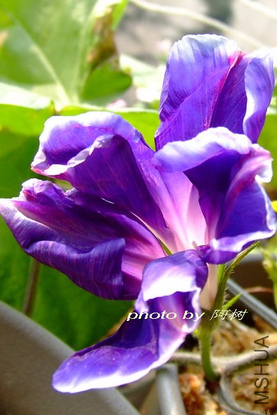 ����֮�� 2.jpg