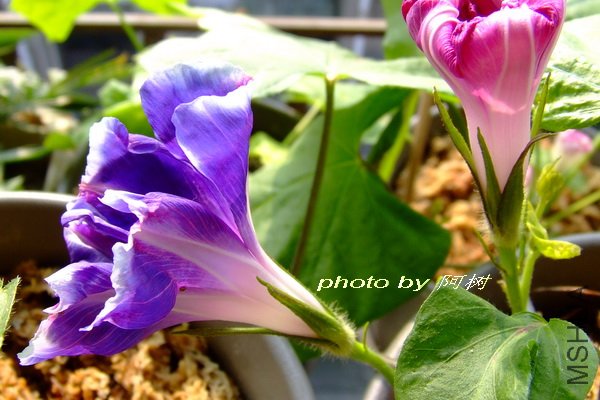 ����֮�� 3.jpg