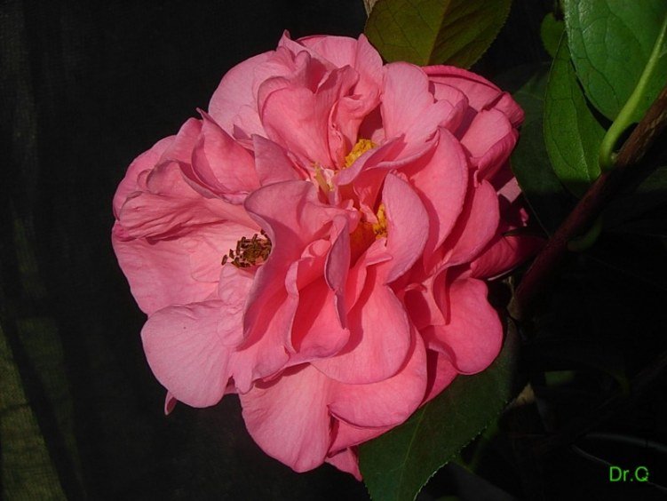 0308-4day-2.JPG