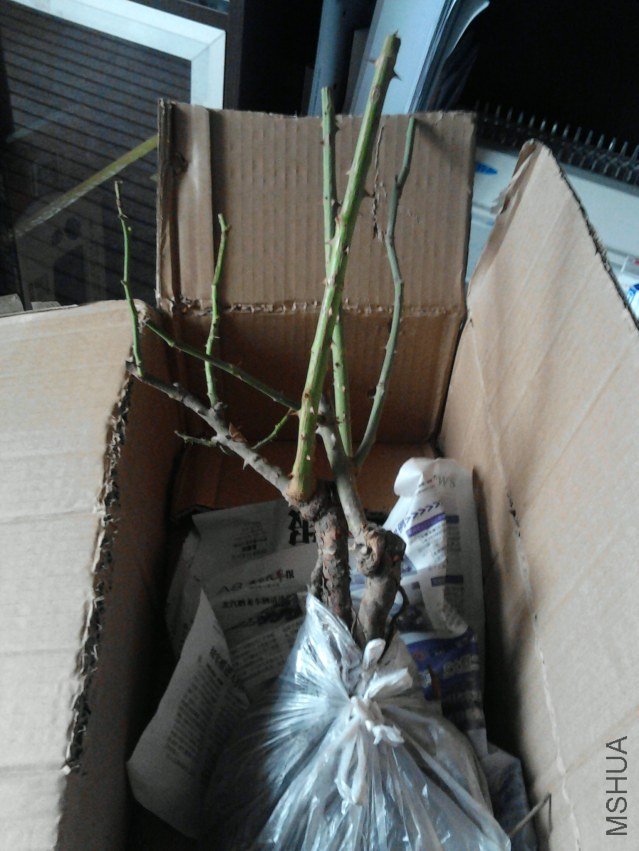 P01-03-11_14.51.jpg