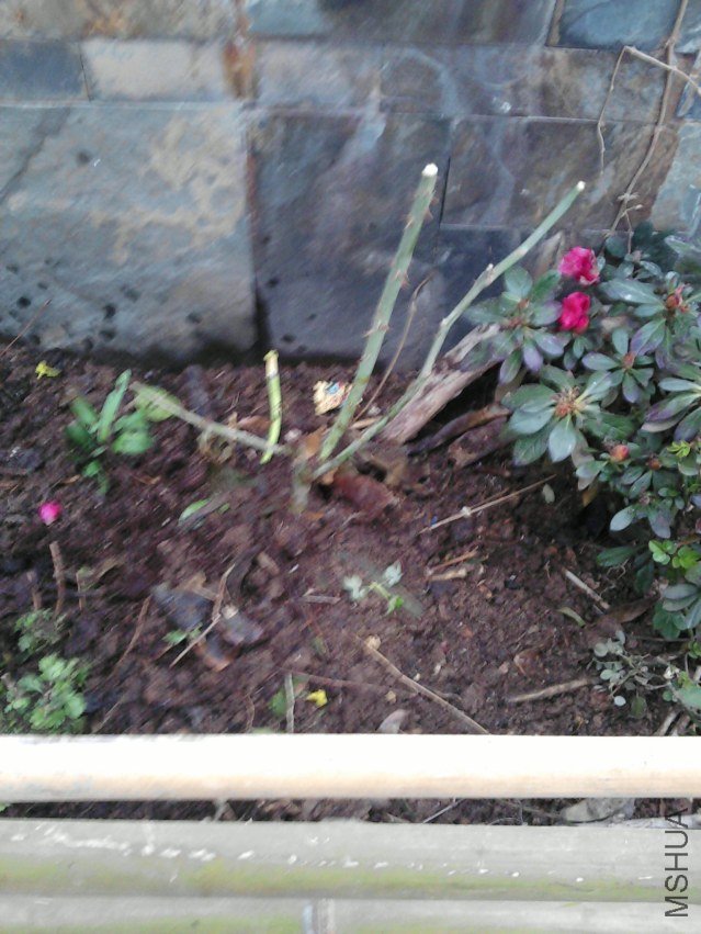 P01-03-11_17.37.jpg