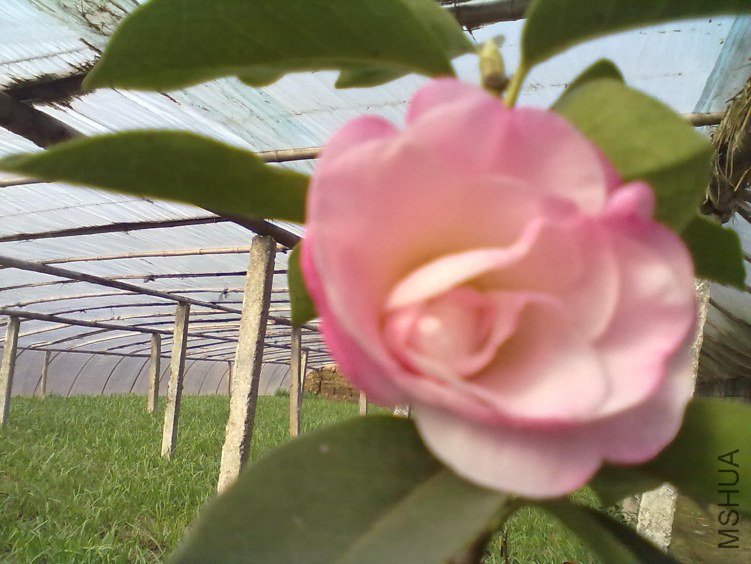 20120308224.jpg