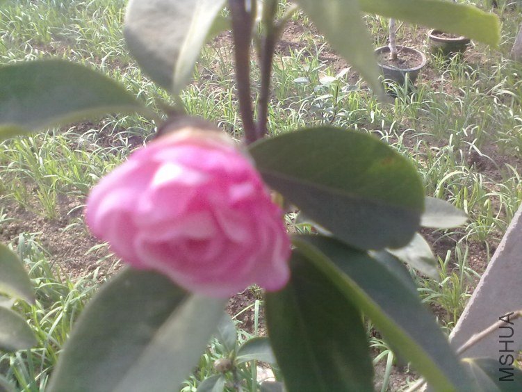 20120307223.jpg