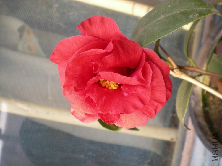 DSCN4026.JPG