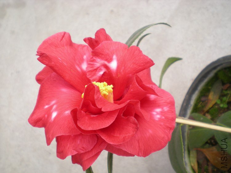 DSCN4028.JPG