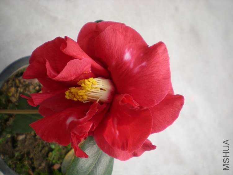 DSCN4030.JPG