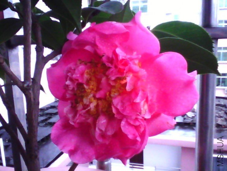 image20120306_130004.jpg