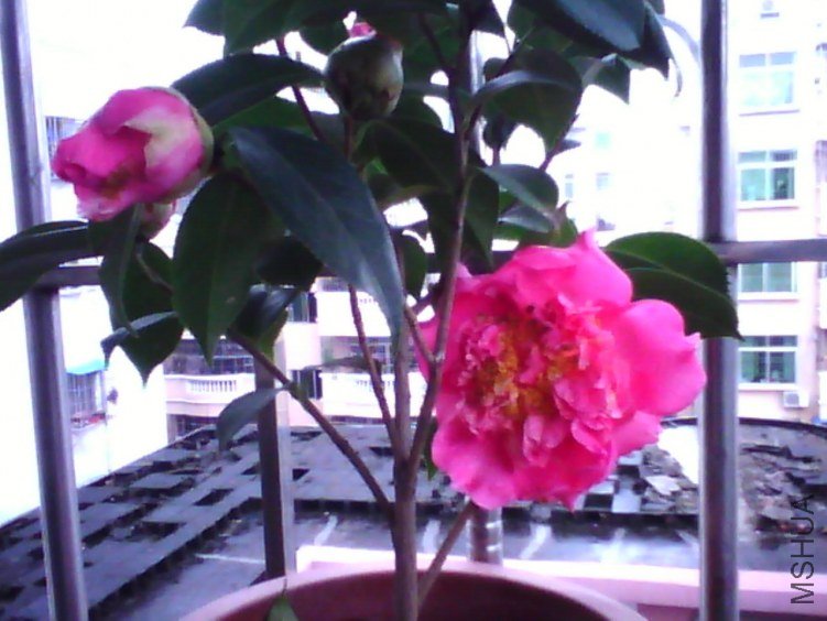 image20120306_130029.jpg