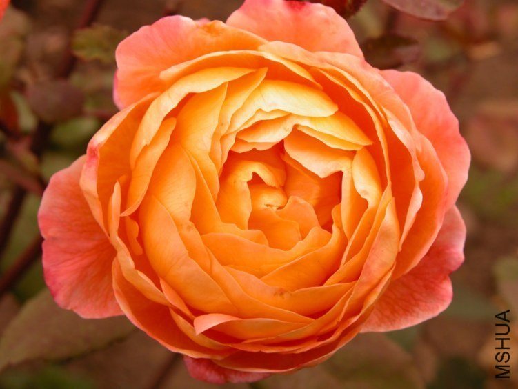 ���꺺�ܶ��ٷ���1 of ��ݱ.jpg