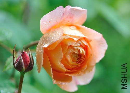 ���꺺�ܶ��ٷ���3 of ��ݱ.jpg