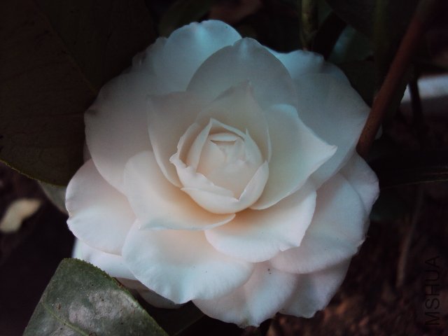 DSC05551.JPG