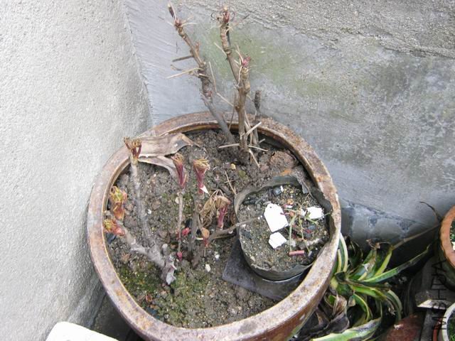 ������С ��Ƭ 056.jpg