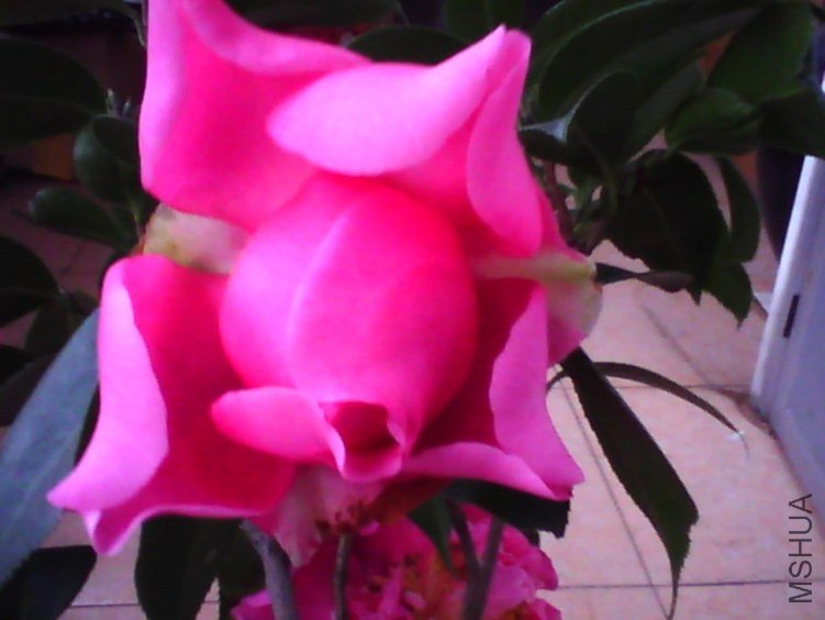 image20120310_135605.jpg
