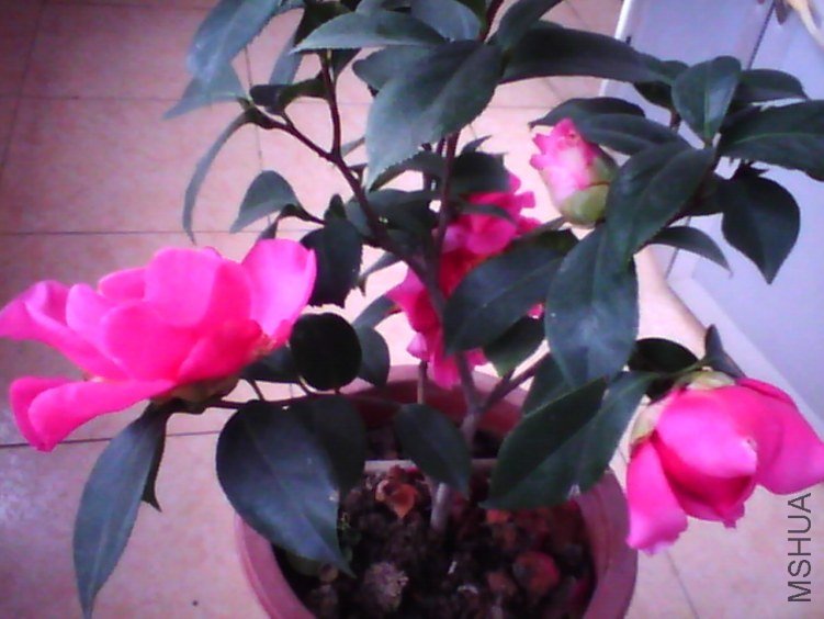 image20120310_135546.jpg