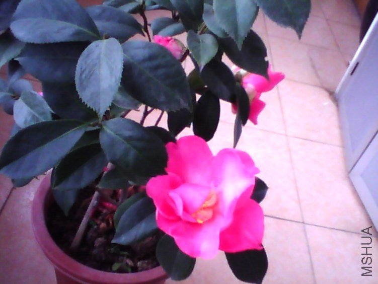 image20120310_135458.jpg