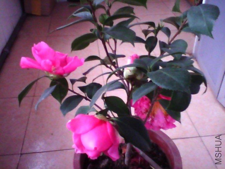 image20120310_135630.jpg